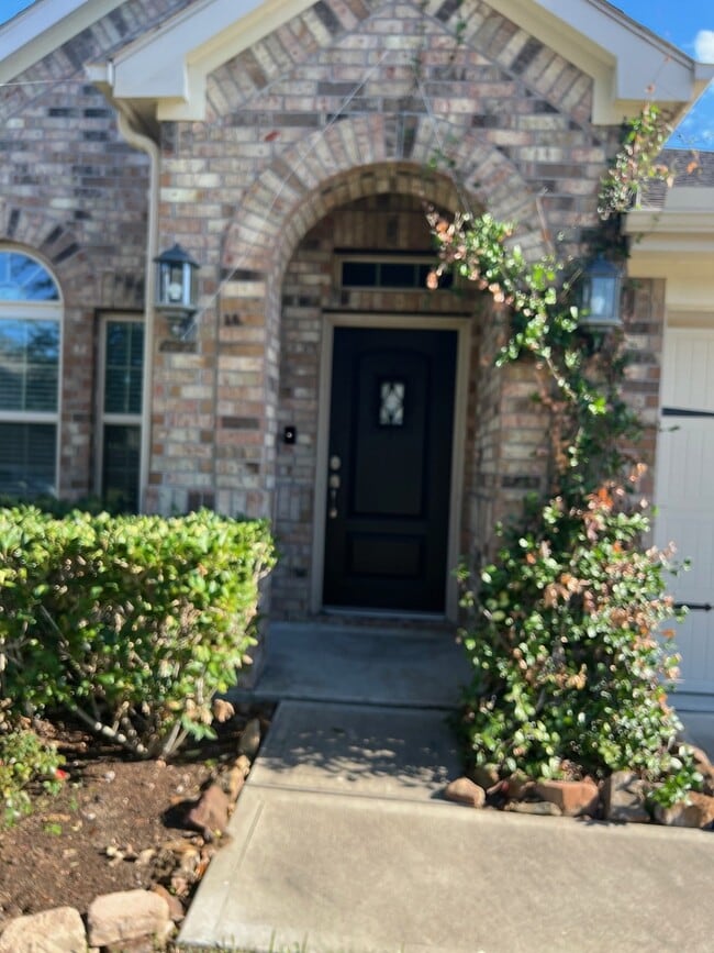 Foto del edificio - 2519 Ocean Pass Ln