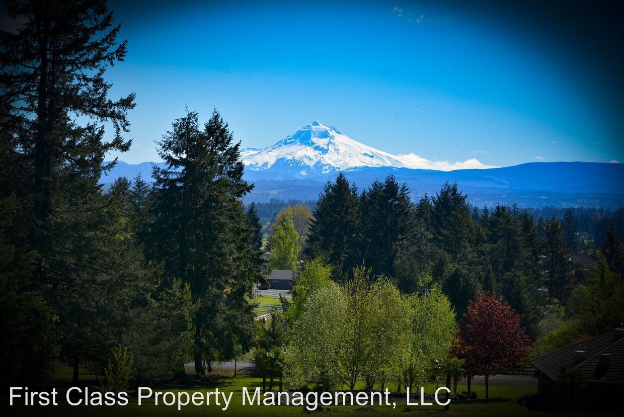 Foto principal - 17682 S Fieldstone Ct