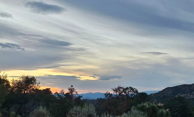 Vista desde la sala de estar - 1923 Desert Front Rd