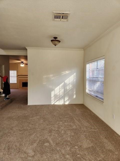 Foto del edificio - 1306 Mabry Mill Rd