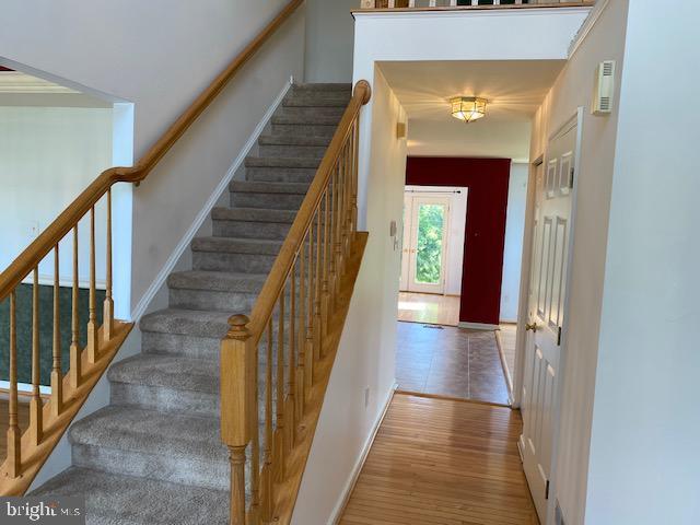 Foto del edificio - 312 Foxtail Ln