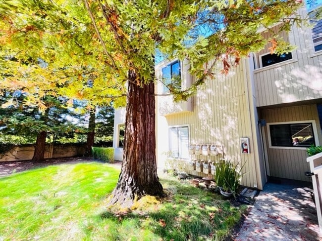 Building Photo - Beautiful, Lower-Level 2BD/2BA, Corner Con...
