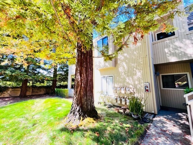 Foto del edificio - Beautiful, Lower-Level 2BD/2BA, Corner Con...
