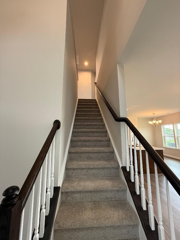 Building Photo - 321 Moosehead Trl