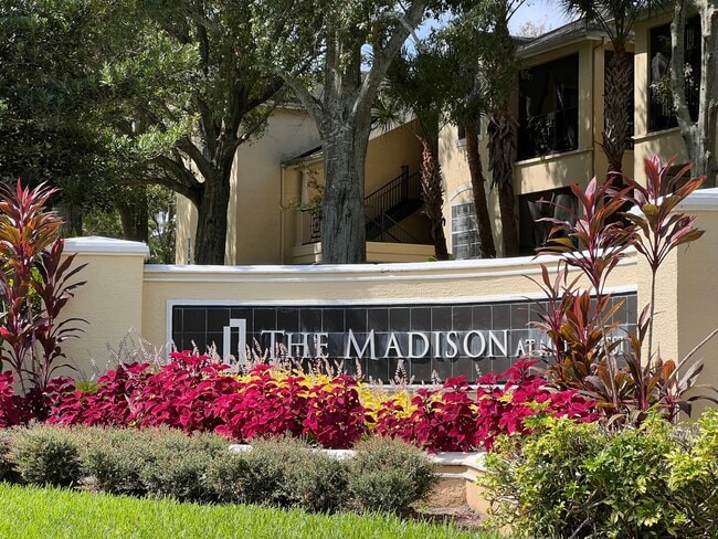 Building Photo - Spacious 1/1 condo!