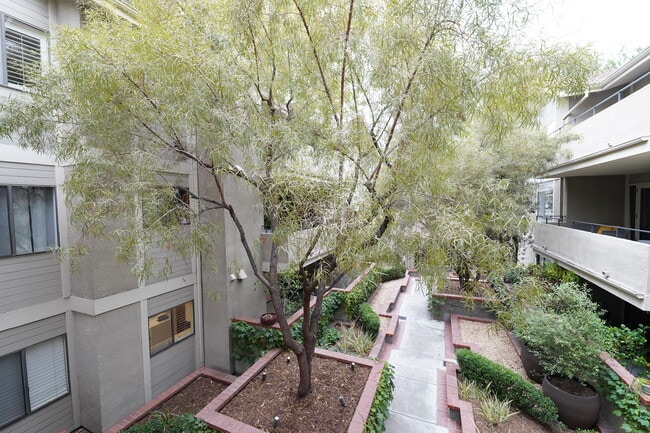 Foto del edificio - 1000 E California Blvd