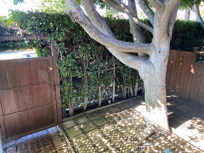 Front yard - 1318 N McCadden Pl