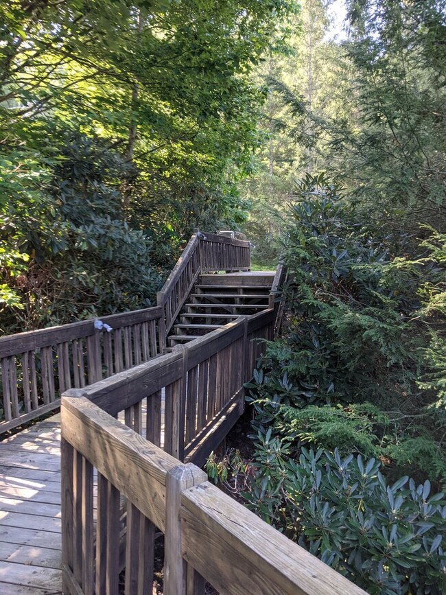 Building Photo - bamfo415