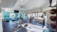 Located at 7901 N Cortaro Rd in Marana, Arizona, this well-equipped fitness center offers a comprehensive workout environment within a single-floor layout. The space features vaulted ceilings that lend an open, airy feel, complemented by recessed lighting, ceiling fans, and abundant natural light streaming through large windows that frame views of the landscaped grounds. A bold teal accent wall adds a vibrant, energizing touch to the interior design.

The cardio zone is outfitted with multiple treadmills, elliptical trainers, upright and recumbent bikes — including Matrix-brand equipment — and a rowing machine, providing a wide range of aerobic workout options. A wall-mounted flat-screen television is positioned for easy viewing during exercise. The free weight area features a fully stocked multi-tier dumbbell rack, accompanied by a flat workout bench for strength training exercises. Additional functional equipment includes a cable machine, medicine balls, and a stability ball, supporting a variety of training modalities.

Full-length mirrors line portions of the walls, enhancing the sense of space and allowing users to monitor their form. The durable dark flooring provides a practical, slip-resistant surface throughout. The fitness center's generous layout ensures ample room for movement between stations, making it a functional and well-designed amenity for residents.