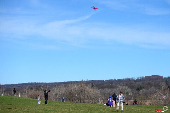 Experience the joy of kites soaring high in Overpeck County Park, just moments away from Ridgefield Park.