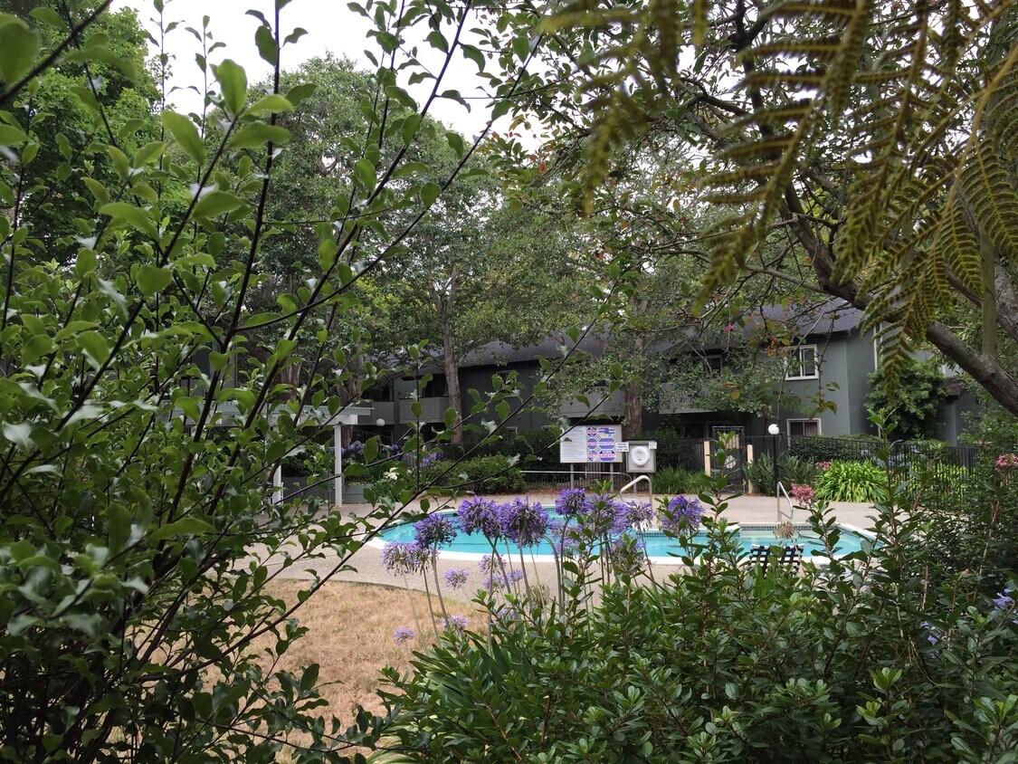 404 Boardwalk Ave Unit 9, San Bruno, CA 94066 Condo for Rent in San