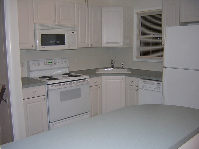 kitchen - 105 Briarwood Dr
