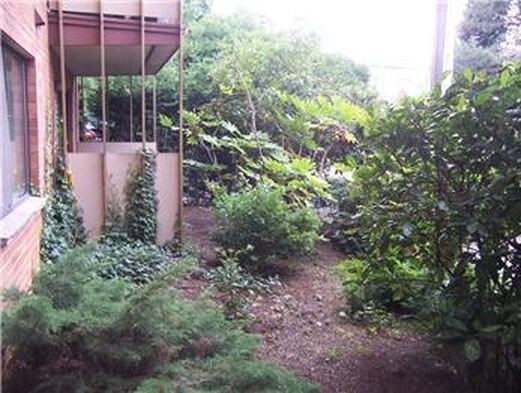 Patio area - 911 N 73rd St