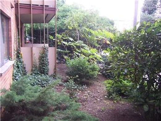Patio area - 911 N 73rd St
