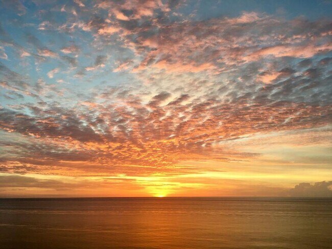 Foto del edificio - 5550 N Ocean Dr