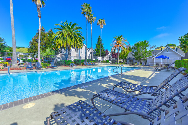 Building Photo - Bay Vista at Meadow Park