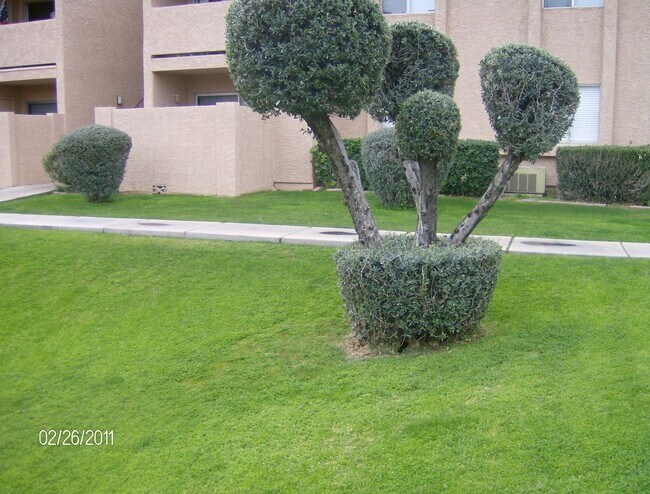 Foto del edificio - **SPECTACULAR - 2br/2ba CONDO (Alma School...