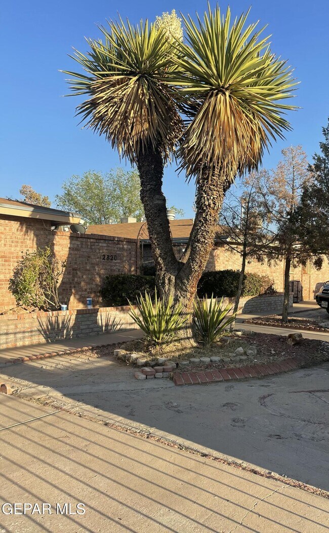 Foto del edificio - 2820 E Glen Dr