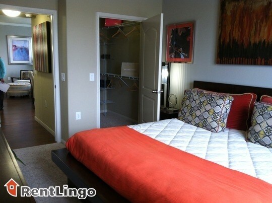 Foto principal - 4807 Pin Oak Park