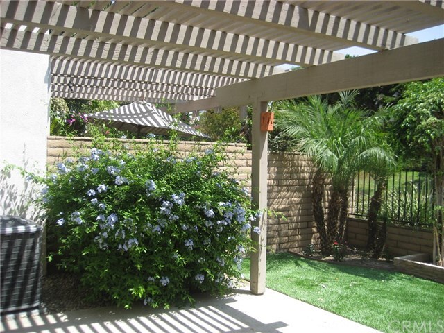 Primary Photo - 11 Redwood Tree Ln