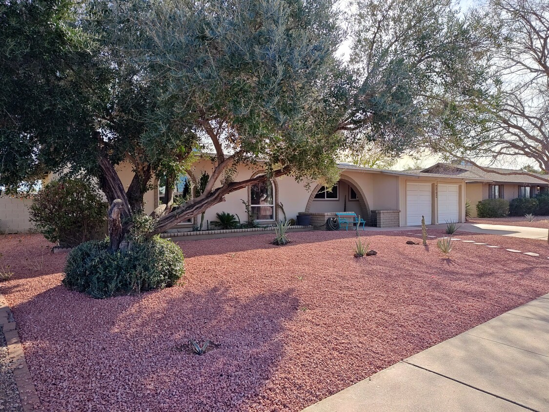 Primary Photo - 3807 E Poinsettia Dr