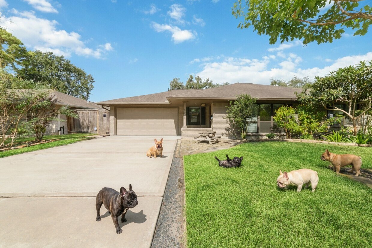 Foto principal - 5438 Briarbend Dr