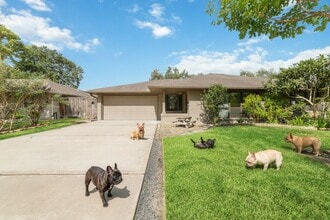 Building Photo - 5438 Briarbend Dr