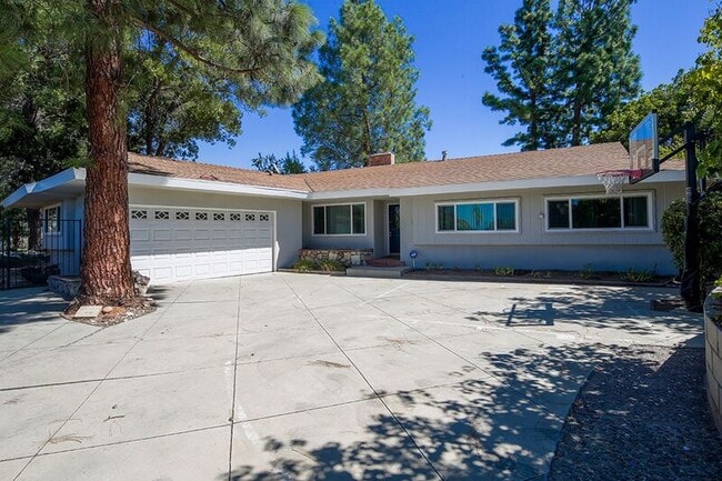 Foto del edificio - 279 Starlight Crest Dr