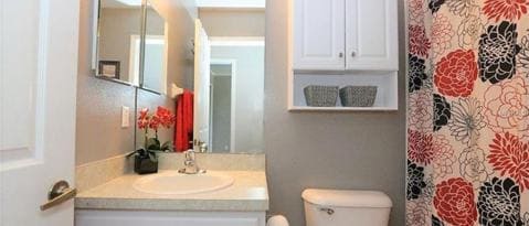 Foto del edificio - 161 Sterling Springs Ln