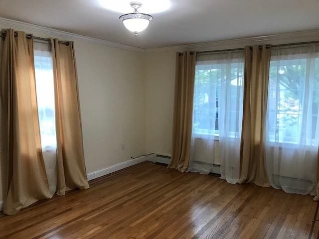 Building Photo - 63-54 Fitchett St