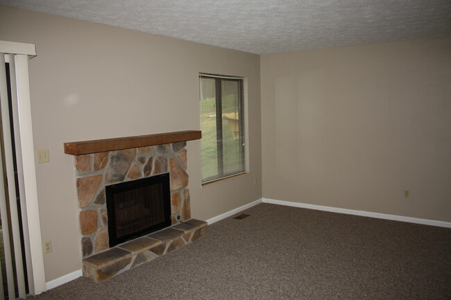 fireplace - 302 White Tail Way