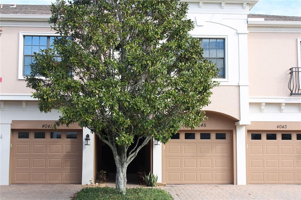 Primary Photo - 4041 Overture Cir