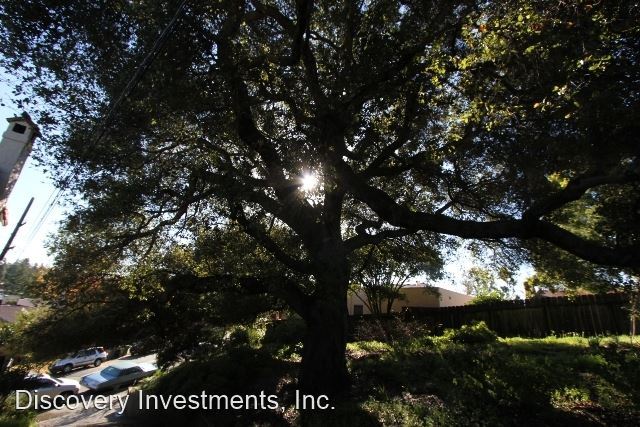 Foto del edificio - 4 br, 4 bath House - 4069 Waterhouse Road