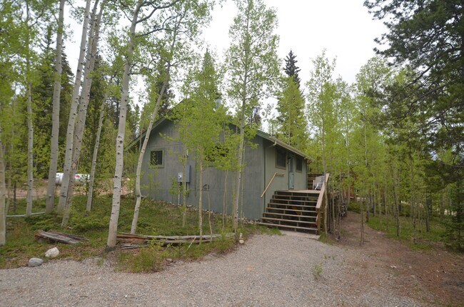 Foto del edificio - Cabin in the woods! 45 Minutes to Breck!