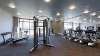 Located at 4986 Wetland Crossing Dr in North Charleston, South Carolina, this dedicated fitness center offers a well-equipped, single-floor workout space designed to support a comprehensive exercise routine. The facility is bathed in natural light, thanks to expansive floor-to-ceiling windows that line the walls and provide views of the surrounding landscape, creating an open and energizing atmosphere.

The interior features a modern aesthetic with neutral-toned walls, a smooth gray ceiling outfitted with recessed flush-mount lighting, and durable patterned carpet flooring suited for high-traffic athletic use. Large mirrors are positioned along one wall, enhancing the sense of space and allowing users to monitor their form during workouts.

The strength training area is anchored by a multi-function cable machine system, complemented by a dedicated free weight bench, providing versatile options for resistance training. The cardio section is equally well-appointed, featuring upright bikes, elliptical trainers, and treadmills arranged to maximize the available floor space. The layout is thoughtfully organized to allow comfortable movement between equipment. Overall, this fitness center combines functionality with a clean, contemporary design to deliver an inviting and fully capable workout environment.