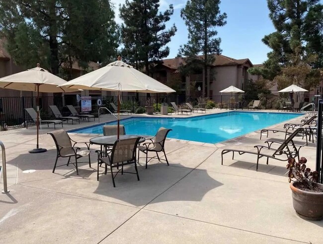 Pool - 12071 Alta Carmel Ct