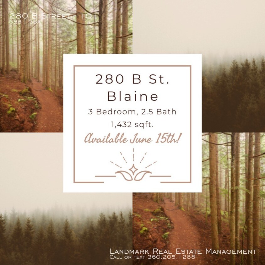 Brand New Spacious Duplex in Blaine! Apartment for Rent in Blaine, WA