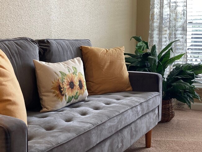 Adobe Springs Apartments Houston Tx Apartments Com