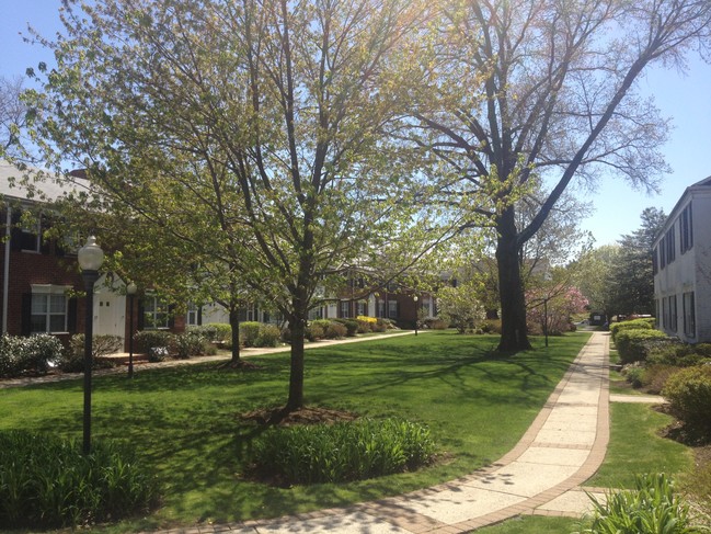 Foto del edificio - Chanler at Montclair