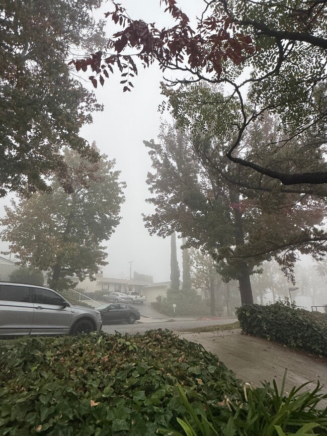 Building Photo - 9809 Creemore Dr