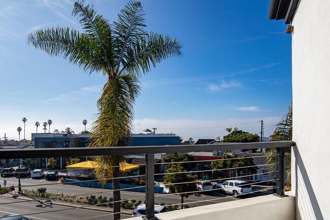 Foto del edificio - Beautiful Bird Rock 2 Br with W/D and Garage Parking ~ Amazing Location!