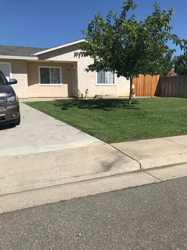 Jardín delantero - 1720 Kemper Ave