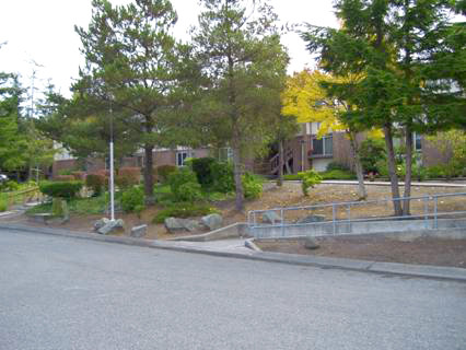 Building Photo - Ridgeview Terrace Senior Apartments