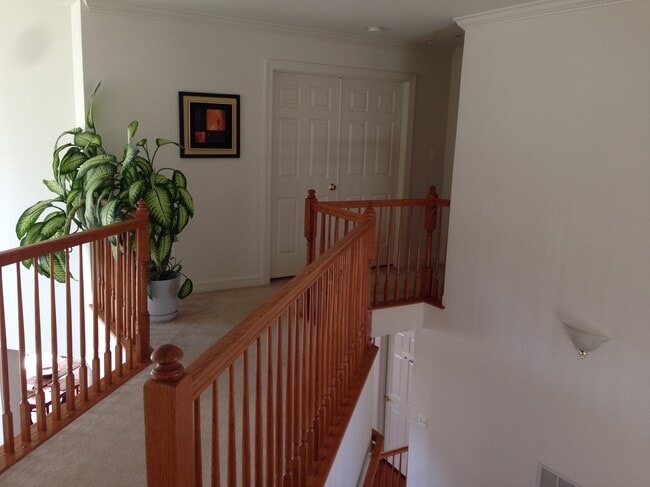Building Photo - 406 Potomac Ridge Dr