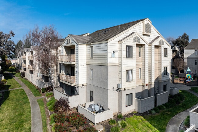Building Photo - Lakeshore Apartments