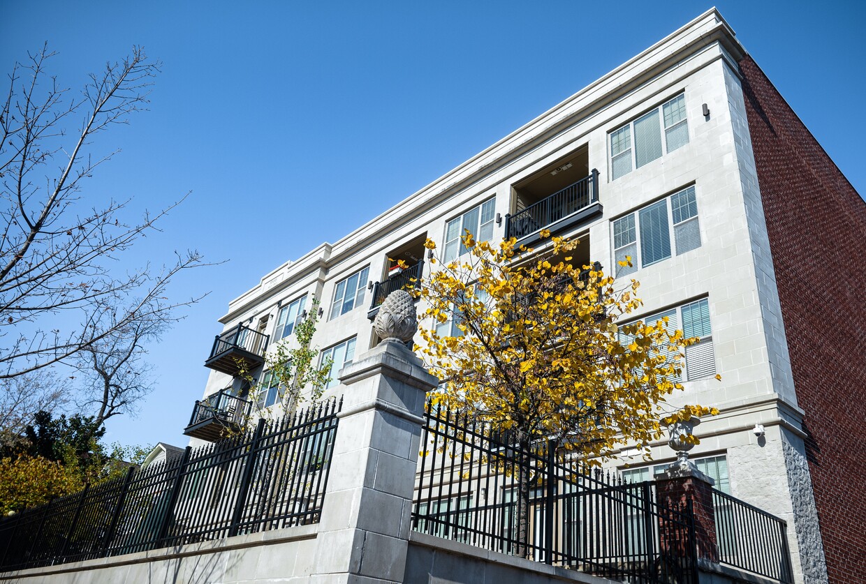 Timeless Elegance in Stone - Luxe at Union Hill