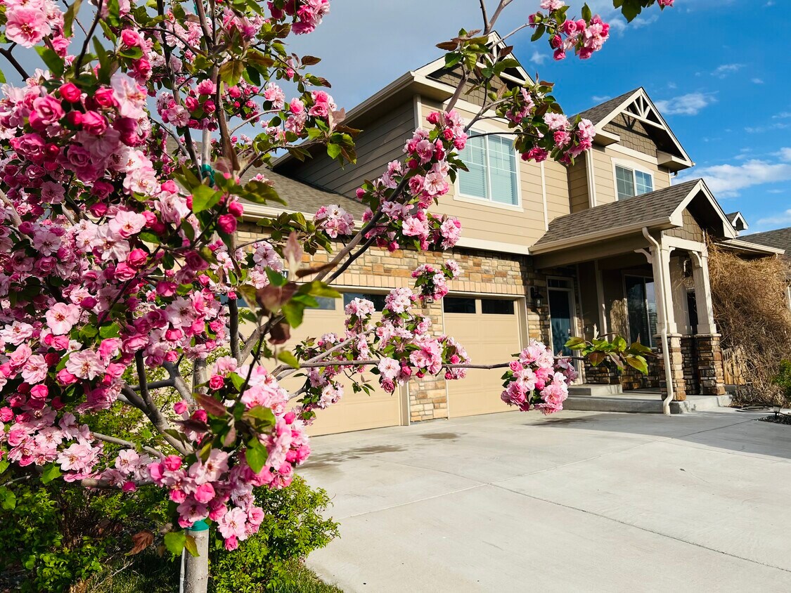 Foto principal - 594 Fall River Ct