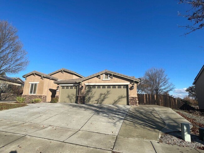 Building Photo - 4 br, 3.5 bath House - 811 Angus St