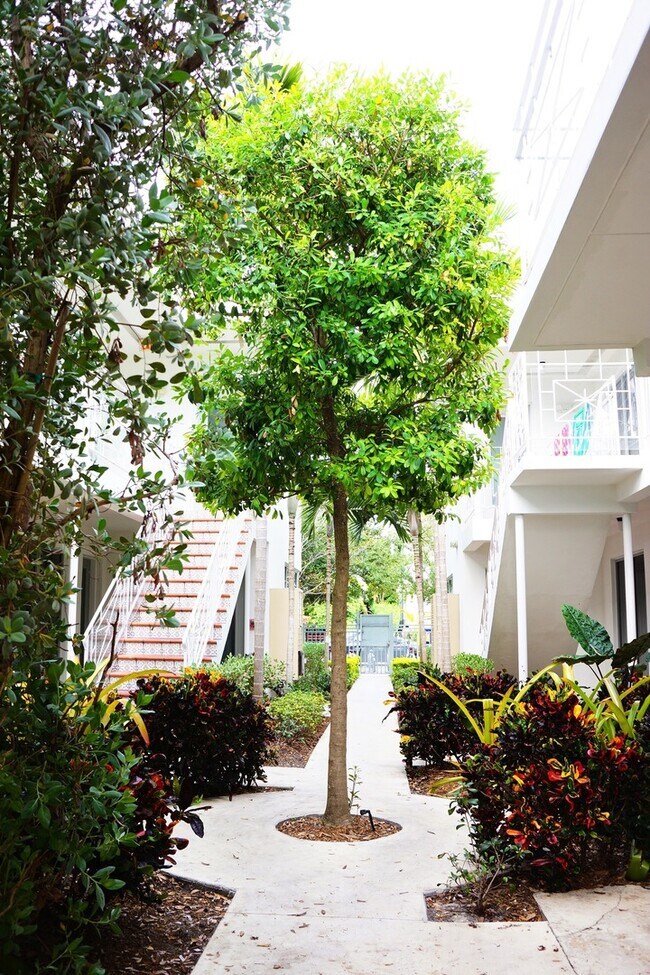 Foto del edificio - Beautiful garden unit with 1bed/1bath in t...