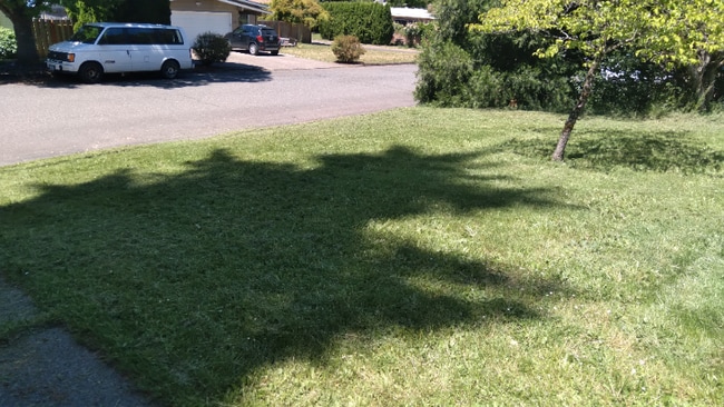 Building Photo - 404-404 N Morton St